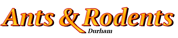 Durham Ant Exterminator & Rodent Control Company Logo